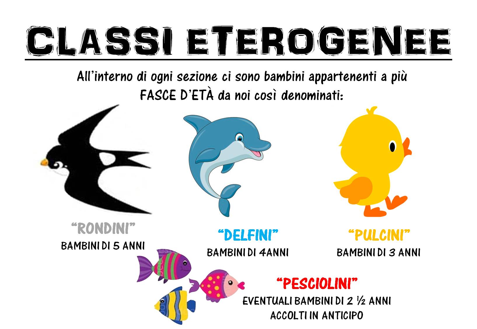 GRUPPI CLASSI