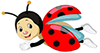 sezione coccinelle